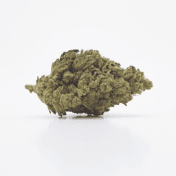 MAGISK BLOMMA - Amnesia Haze - 7% HHCPO - AMNESIA_HAZE_BUD