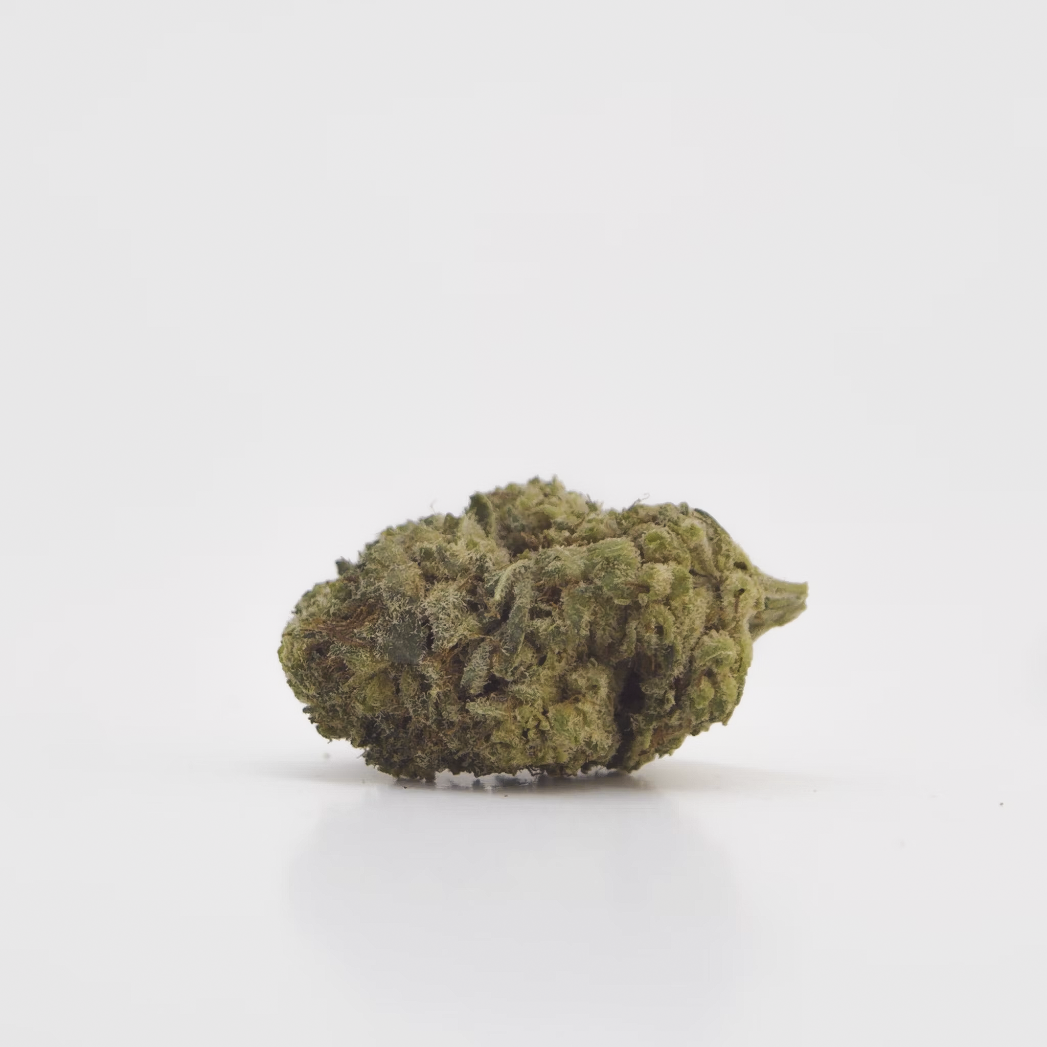 MAGISK BLOMMA - OG Kush - 7% HHCPO - OG_KUSH_BUD